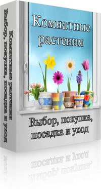кулинарные рецепты