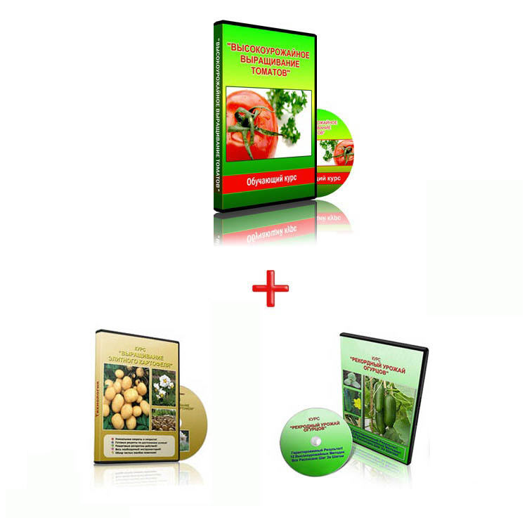 Выращивание картофеля, выращивание томатов, выращивание огурцов